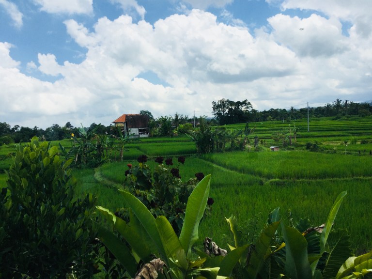 DCB9755D-8607-4CCF-8BFD-CC57BE69D515